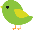 bird